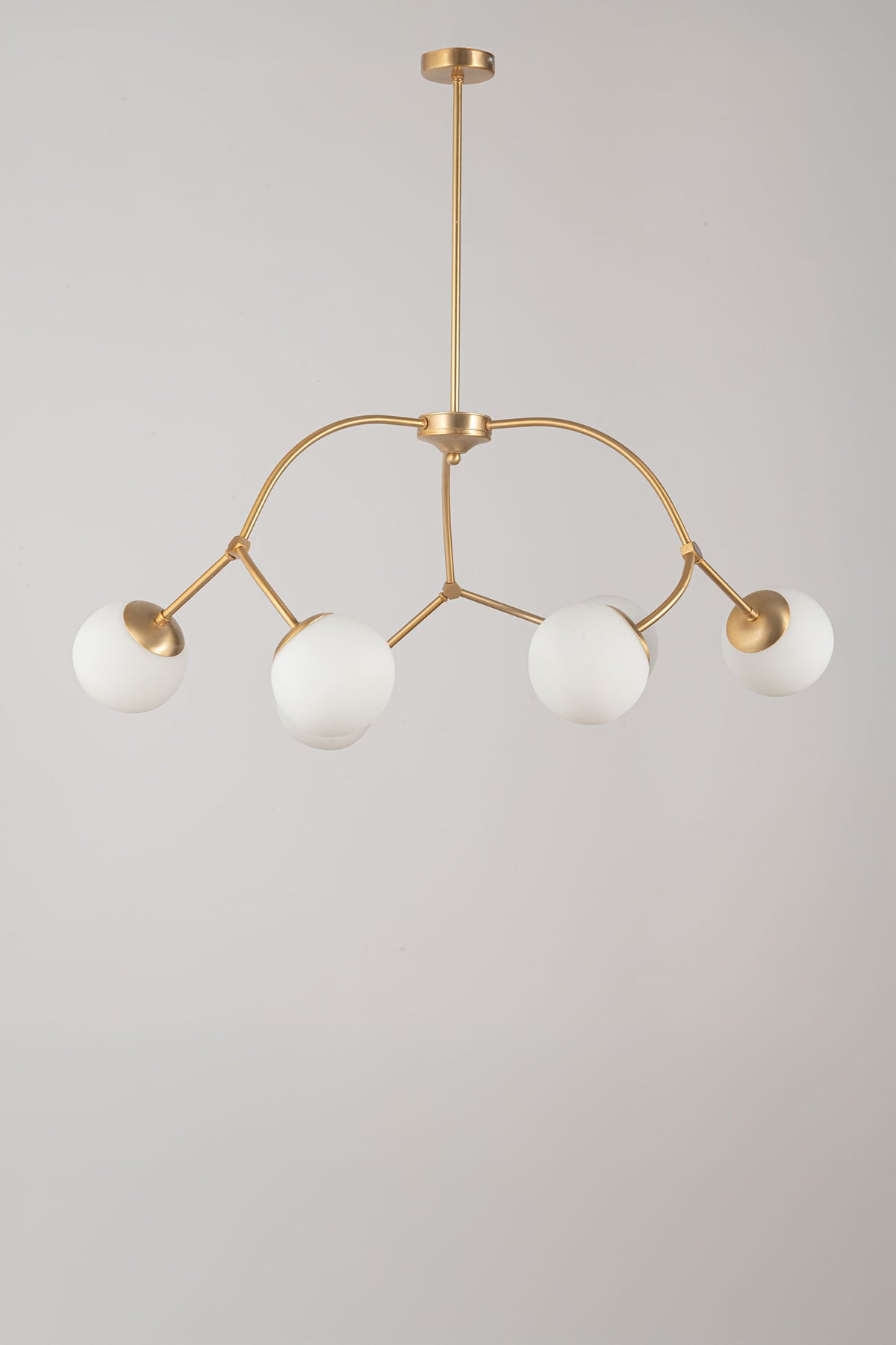 Collezione Desy